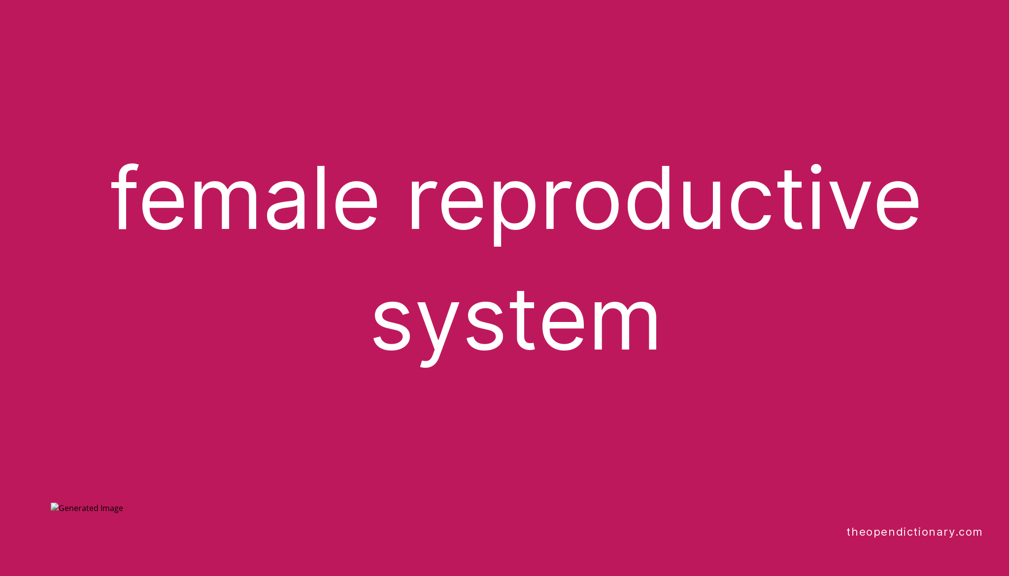 female-reproductive-system-meaning-of-female-reproductive-system